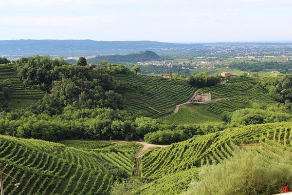 La strada del Prosecco